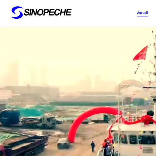 Sinopeche Website